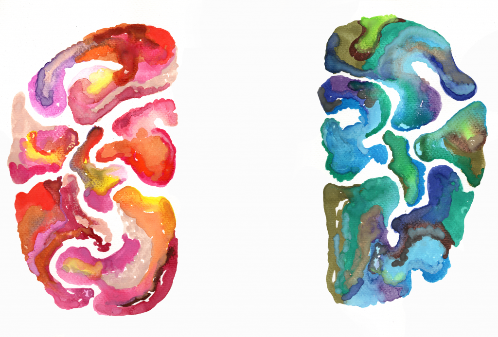 left and right brain