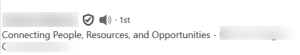 LinkedIn Profile Headline with Vague Title - Says Connecting People with Opportunities